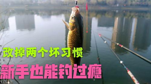 春天钓鱼爆料最新消息,揭秘最新爆料，钓鱼爱好者不容错过的春季钓鱼攻略  第2张